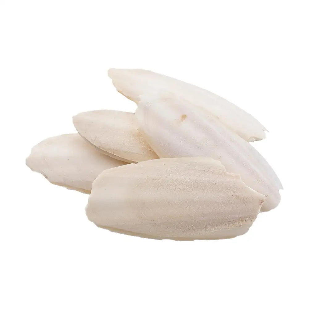 🦜🔔 Parrot Calcium Cuttlefish Bone Perch with Hanging Bell