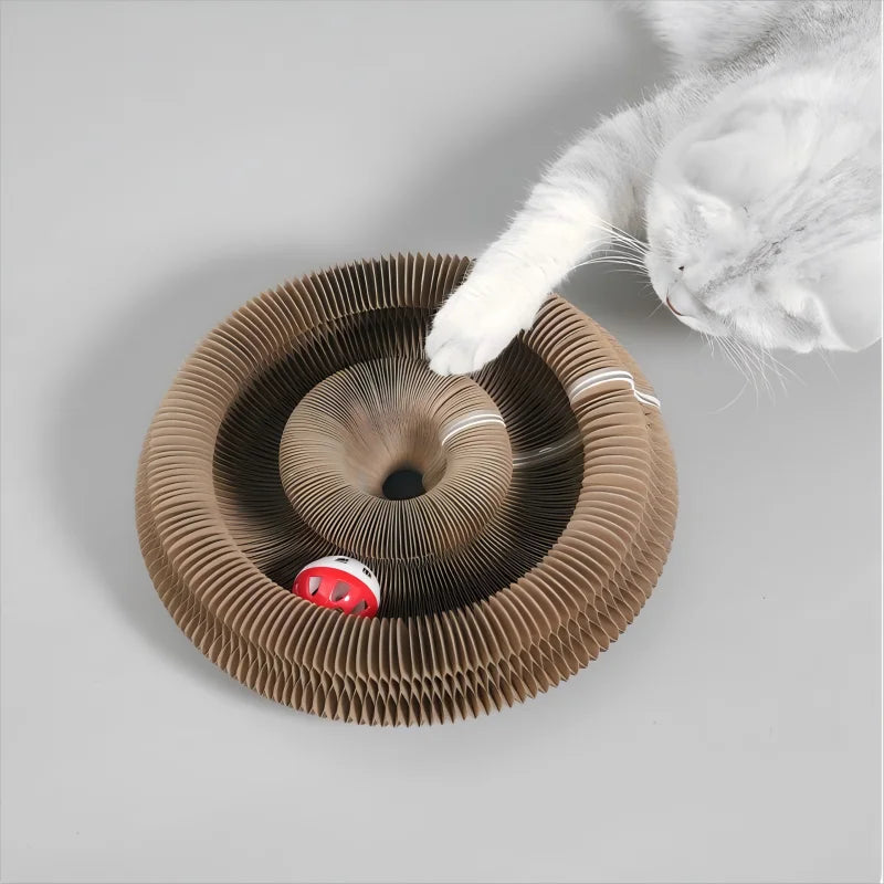 🐱🌀 Foldable Magic Organ Cat Scratching Board & Bed