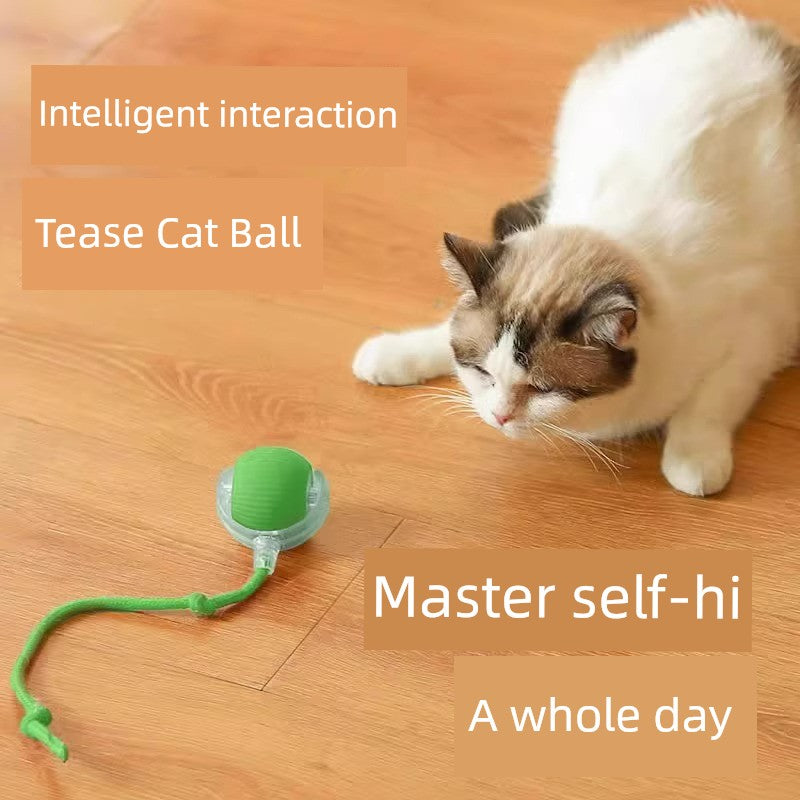 🐾 Cat Intelligent Dodgeball 🎾 Automatic Funny Cat Ball 🐱 Electric Interactive Toy ⚡ Bite & Fall Resistant 💪 Type‑C Charging 🔋