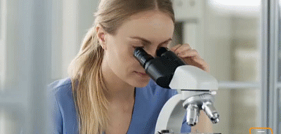 🔥💃 Women’s Belly Fat Burner – Reduce Bloating, Support Hormonal Balance & Target Stubborn Stomach Fat