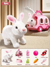 9PCS Kit Rabbits