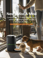 📷🐾 Automatic Smart Cat Feeder with Camera – WiFi App Control