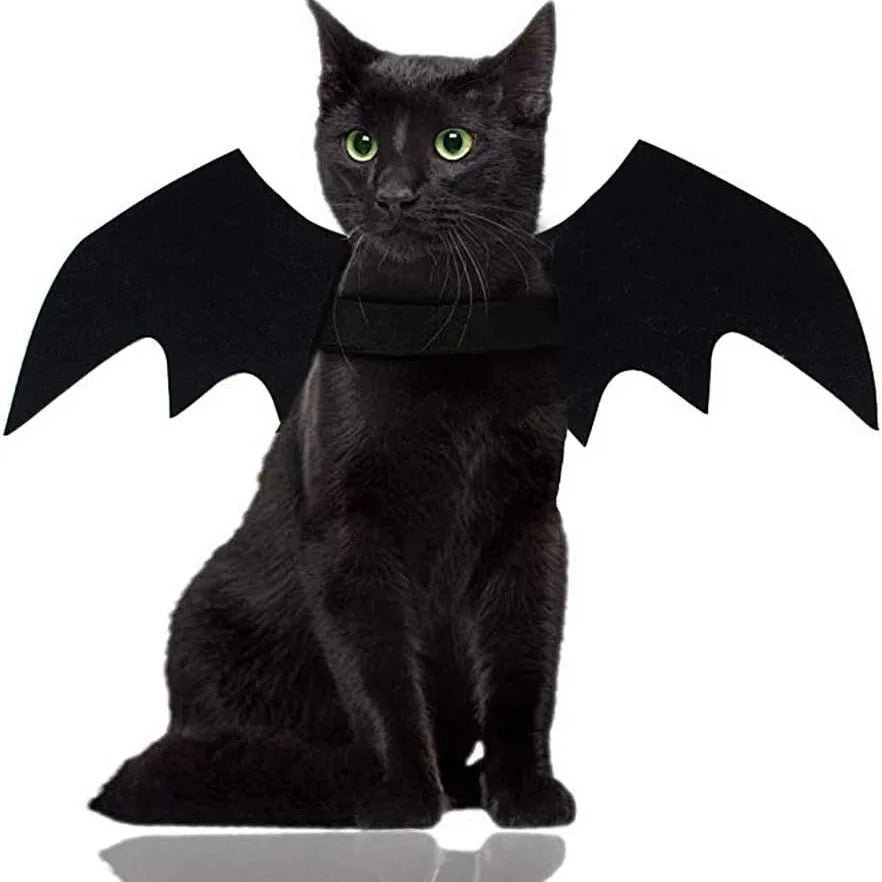 Black Bat Wings Pet Costume – Halloween Cat & Dog Cosplay