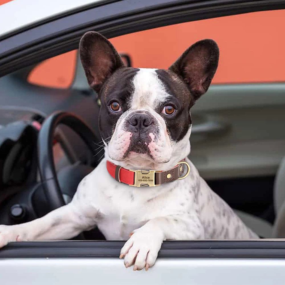 🐶🏷️ Custom Engraved PU Leather Dog Collar – Adjustable ID Tag