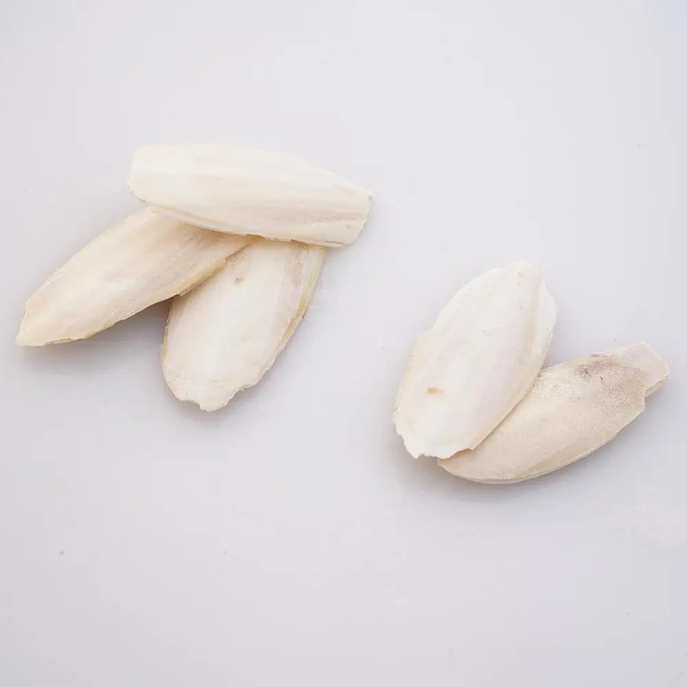 🦜🔔 Parrot Calcium Cuttlefish Bone Perch with Hanging Bell