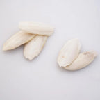 🦜🔔 Parrot Calcium Cuttlefish Bone Perch with Hanging Bell