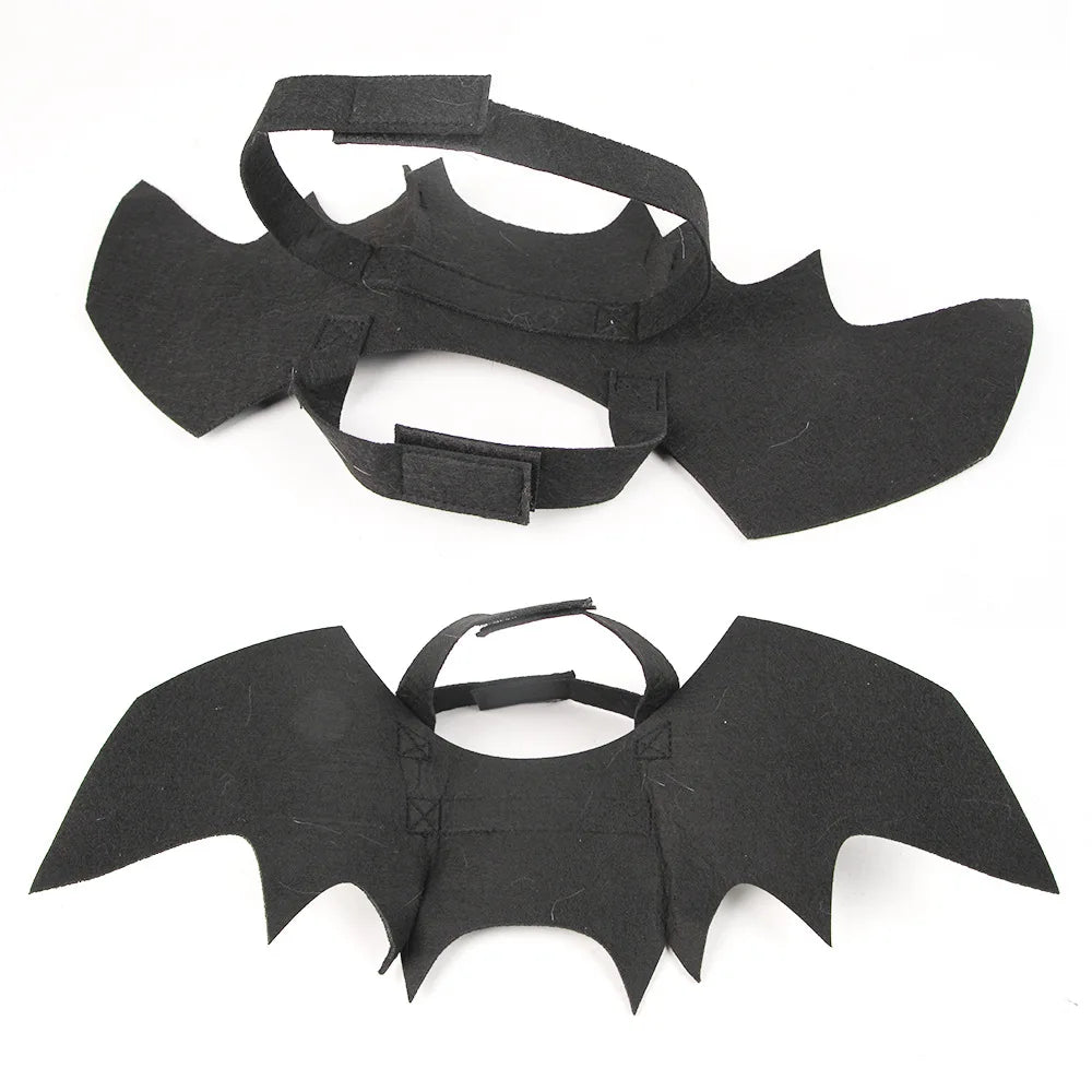 Cat Demon Costume Set – Horns & Bat Wings Halloween Outfit