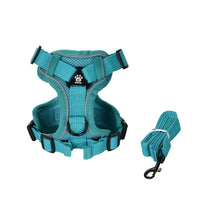 Turquoise / XL