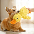 🐾🧸 Indestructible Squeaky Plush Toy – For Aggressive Chewers