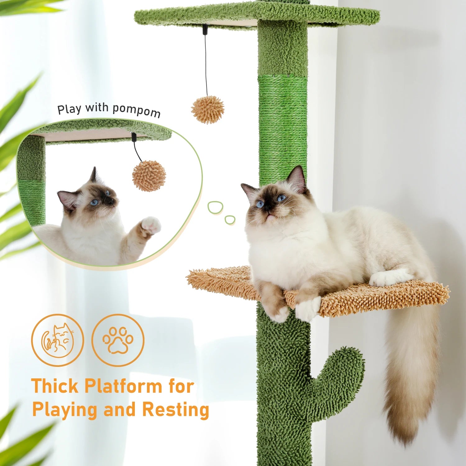 🌵🐱 5-Tier Floor-to-Ceiling Cat Tree – Cactus Climbing Tower