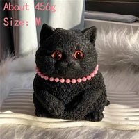 Black Cat 456g