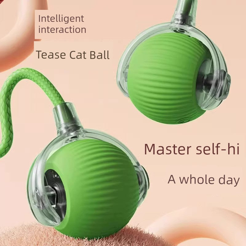 🐾 Cat Intelligent Dodgeball 🎾 Automatic Funny Cat Ball 🐱 Electric Interactive Toy ⚡ Bite & Fall Resistant 💪 Type‑C Charging 🔋