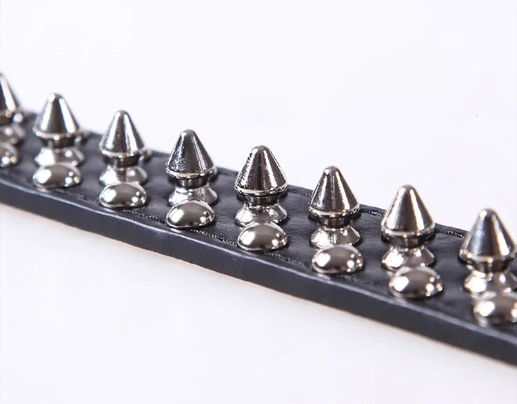 Adjustable Spiked Dog Collar 🐶 PU Leather Punk Studded Pet Collar for Small Dogs & Cats
