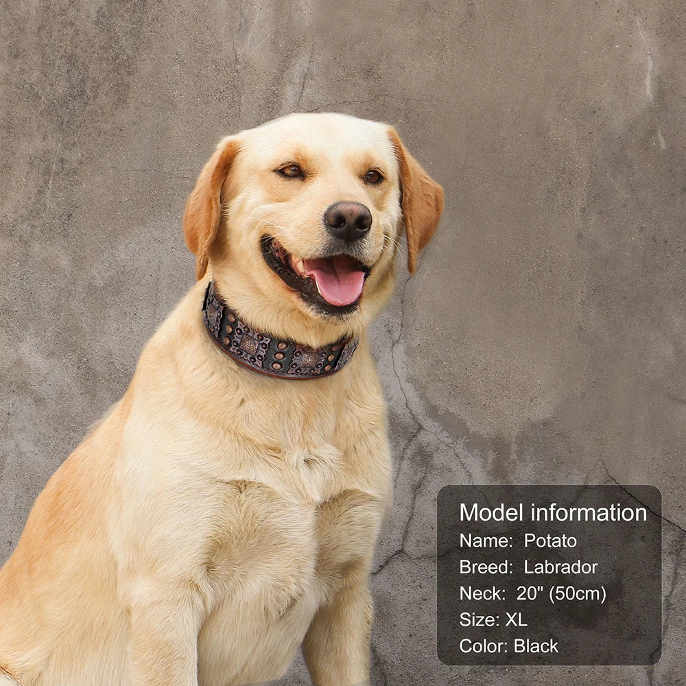 🐕🛡️ Spiked Leather Dog Collar – Heavy Duty Adjustable