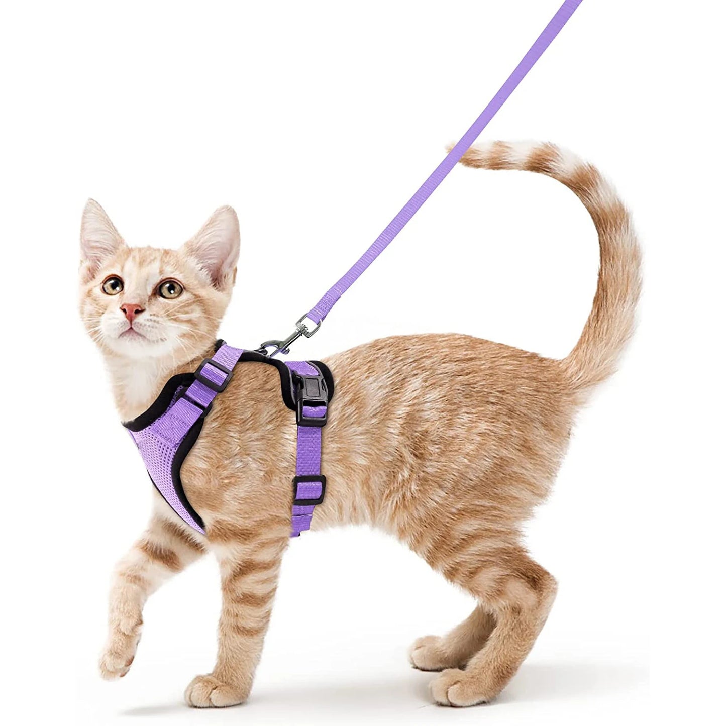 Cat Harness and Leash for Walking Escape-Proof Soft Adjustable Vest Harnesses for Cats Easy Control