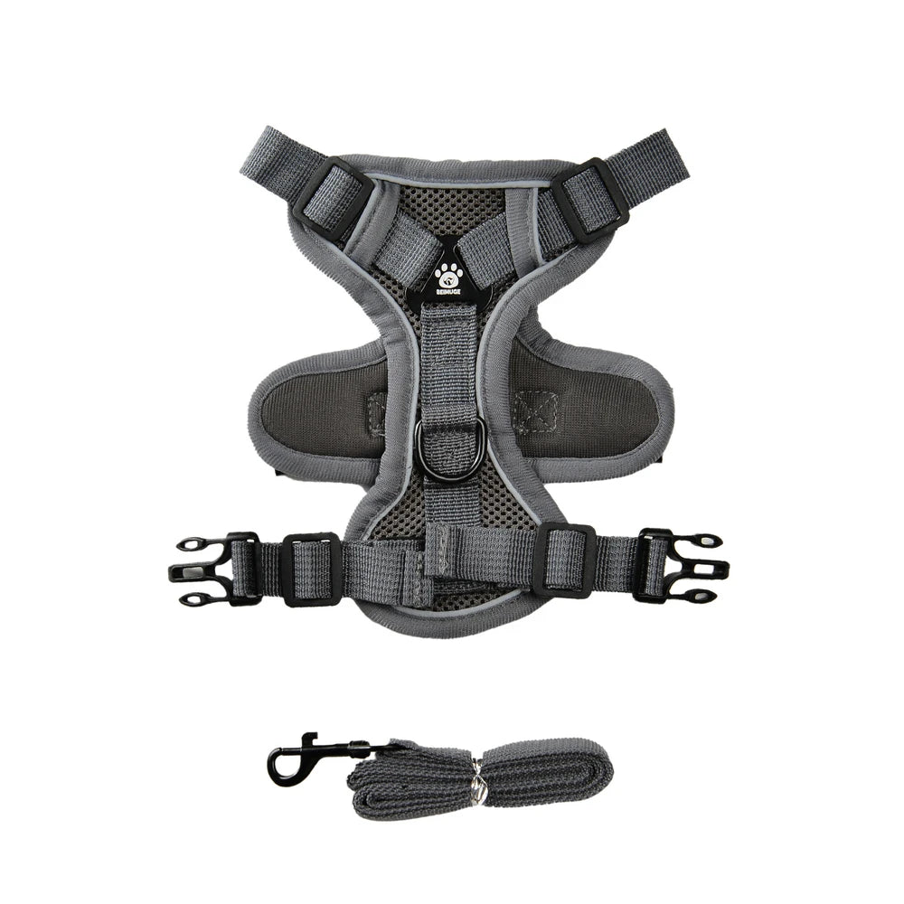 🐾🎽 Breathable Reflective Cat & Small Dog Harness with Leash