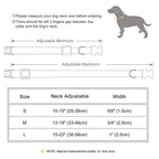🐶🏷️ Custom Engraved PU Leather Dog Collar – Adjustable ID Tag