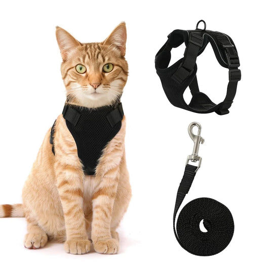🐾✨ Adjustable Reflective Cat & Small Dog Harness Leash Set – Escape Proof Mesh Vest