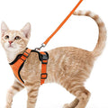 🐱🐾 Escape-Proof Cat Harness and Leash | Soft Adjustable Vest Harness for Walking 🌿 | Easy Control & Comfortable Outdoor Cat Gear