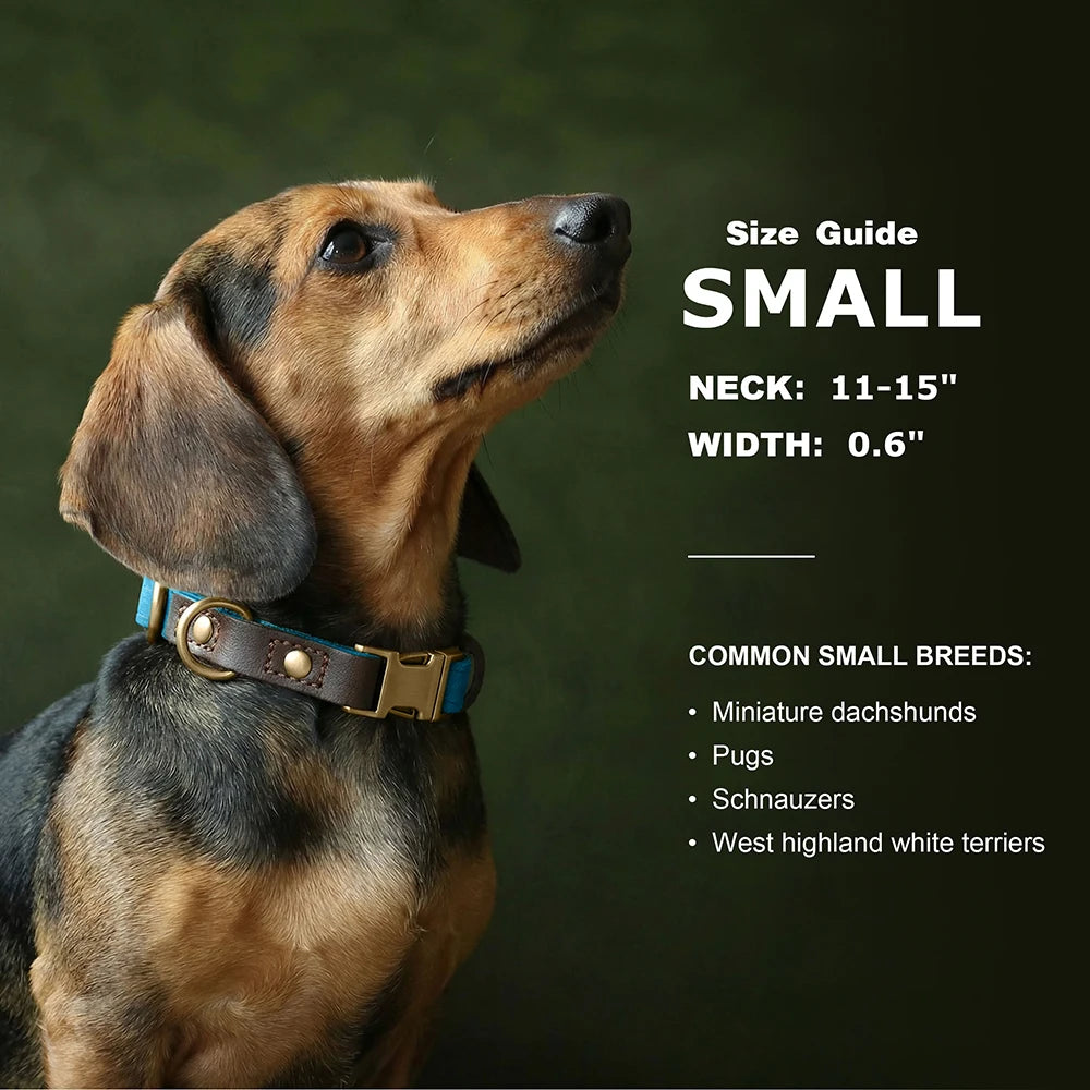 🐾 Customized Dog Collar | Durable PU Leather + Nylon | Engraved Pet ID Necklace 🐶 | Adjustable Metal Buckle for Small, Medium & Large Dogs (Pug, Pitbull, Chihuahua, Terrier) ✨