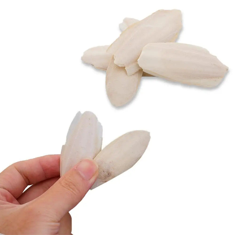 🦜🔔 Parrot Calcium Cuttlefish Bone Perch with Hanging Bell