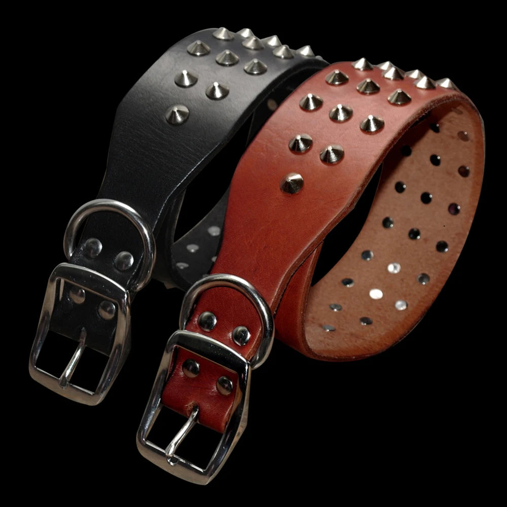 🐕🖤 Genuine Leather Dog Collar – Studded & Spiked Rivet Collar for Large Dogs | Pitbull, Mastiff, Boxer (XS–L)