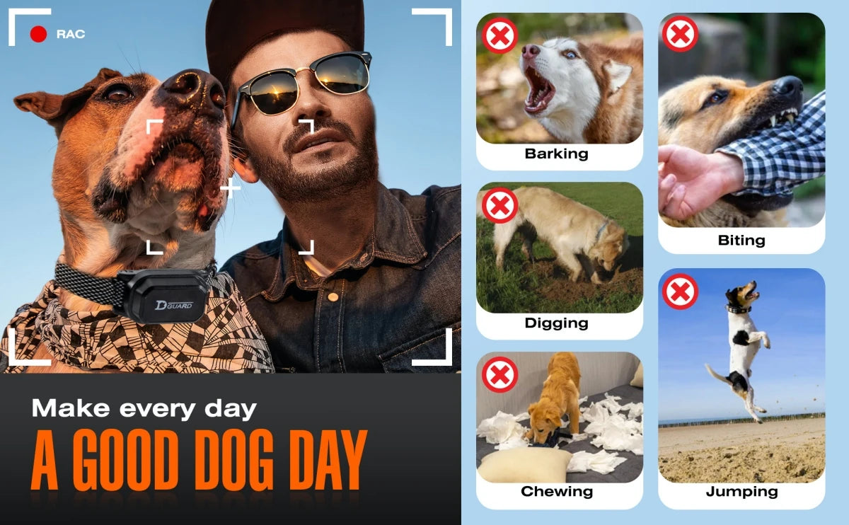 🐶📡 800m Digital Dog Training Collar – Waterproof Rechargeable with LCD