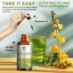 🌿Mullein Leaf Extract Drops 2 Fluid Oz. 1000mg | Lung Health 🌬️ | Breathing Support 😌 | Immune & Digestive Boost 💪 | CFDA Certified ✅ | 2 Fl. Oz. (60mL) Bottle 🧴