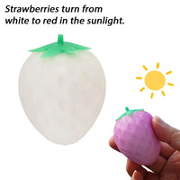 Strawberry ( Small )
