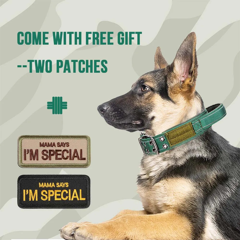 🐕🛡️ Tactical Dog Collar with Handle – Heavy Duty Double Buckle