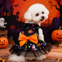 Orange bow / XL