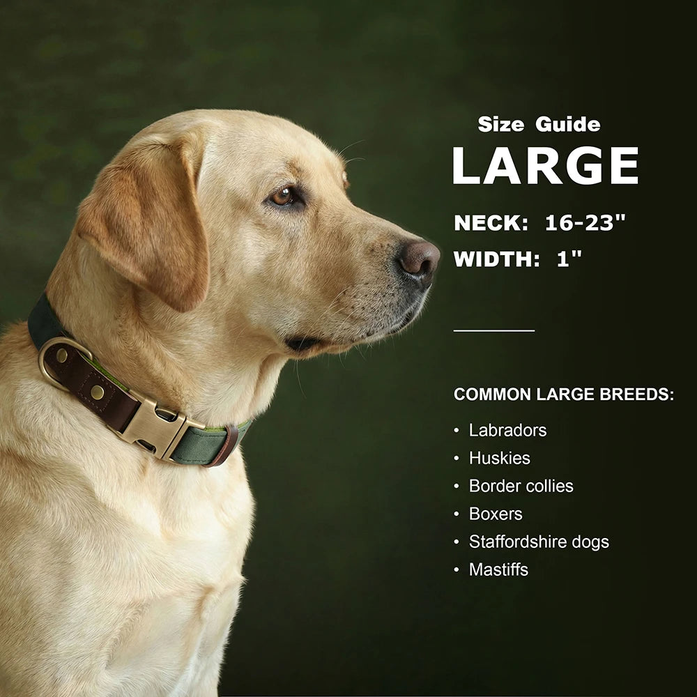 🐾 Customized Dog Collar | Durable PU Leather + Nylon | Engraved Pet ID Necklace 🐶 | Adjustable Metal Buckle for Small, Medium & Large Dogs (Pug, Pitbull, Chihuahua, Terrier) ✨