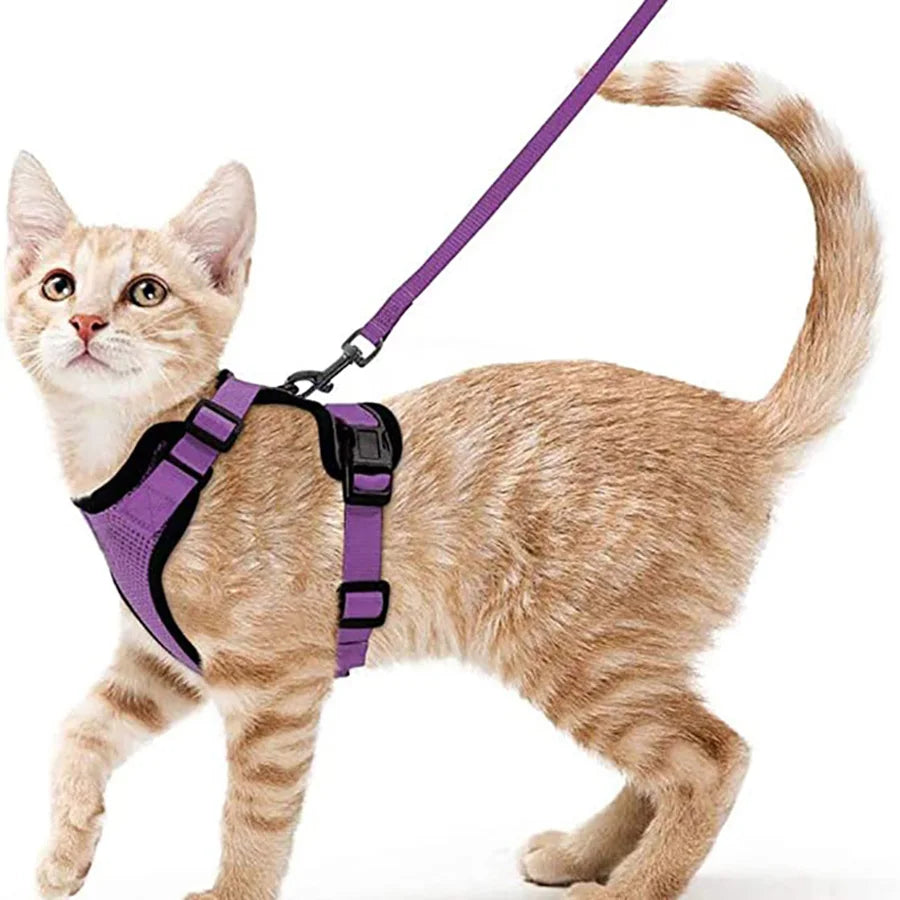 Cat Harness and Leash for Walking Escape-Proof Soft Adjustable Vest Harnesses for Cats Easy Control