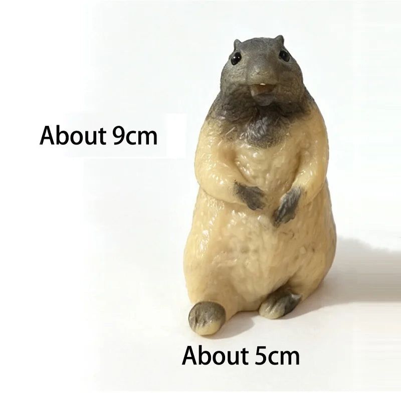 Realistic Squirrel Squishy Toy – Soft TPR Fast-Rebound Fidget