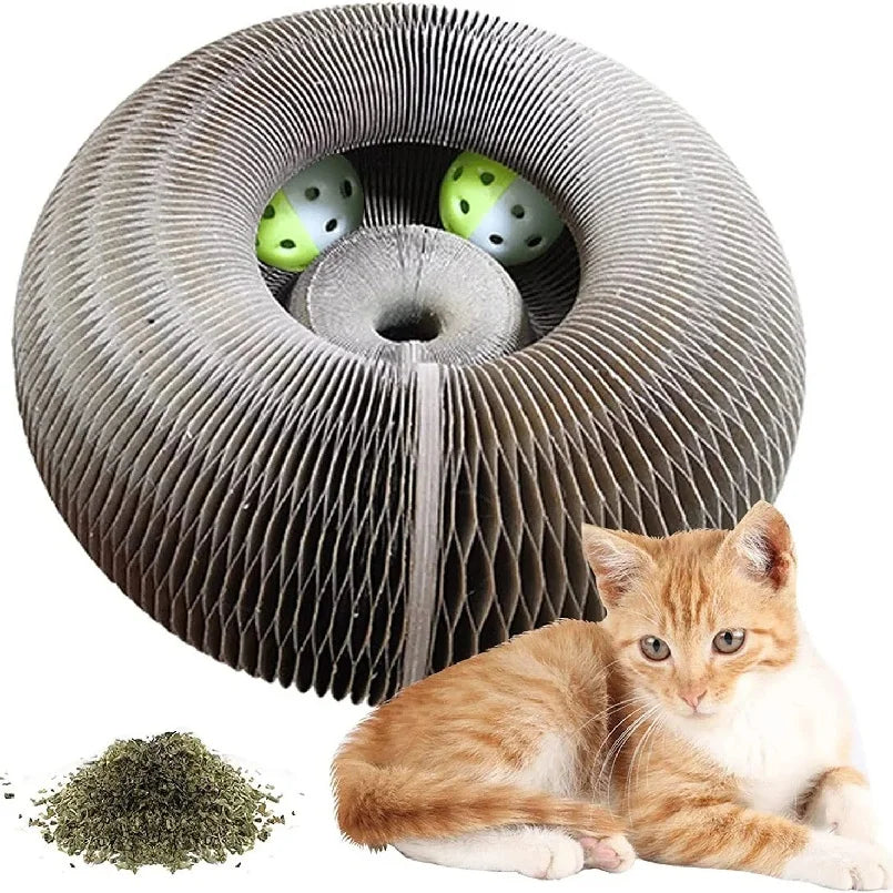 🐱🌀 Foldable Magic Organ Cat Scratching Board & Bed