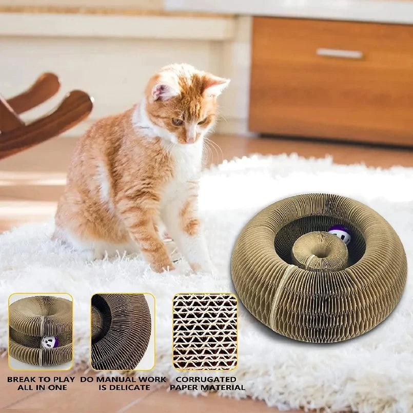 🐱🌀 Foldable Magic Organ Cat Scratching Board & Bed