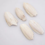🦜🔔 Parrot Calcium Cuttlefish Bone Perch with Hanging Bell