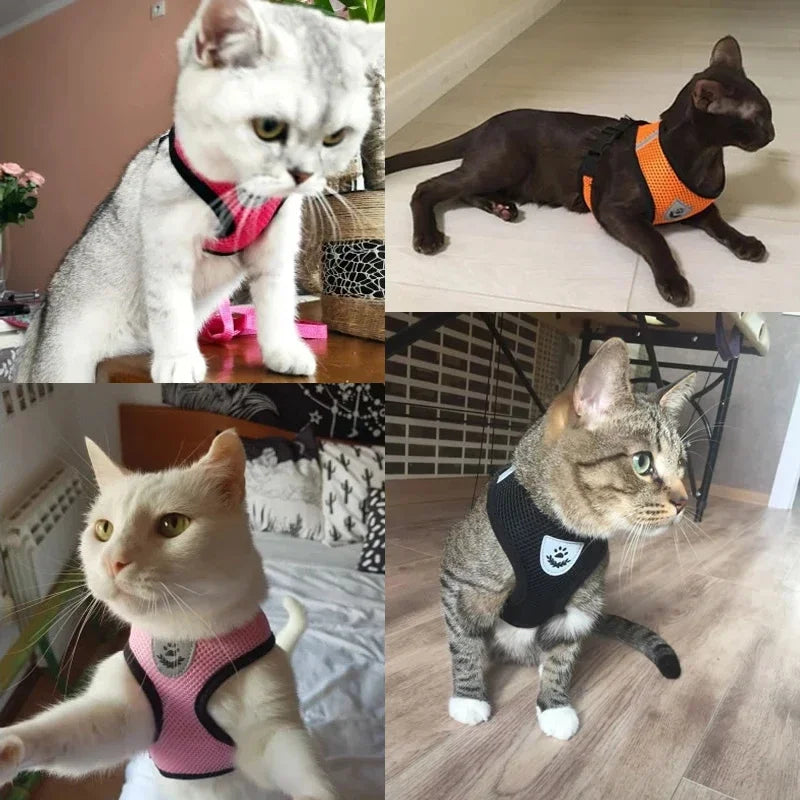 🐾🎽 Adjustable Mesh Cat & Small Dog Harness Vest with Leash