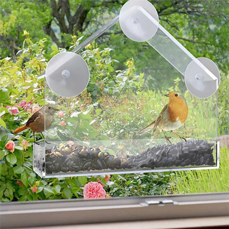 🐦✨ Transparent Window Bird Feeder House | Suction Cup Glass Feeder 🪟 | Outdoor Hummingbird Gazebo Feeding Cage Accessory