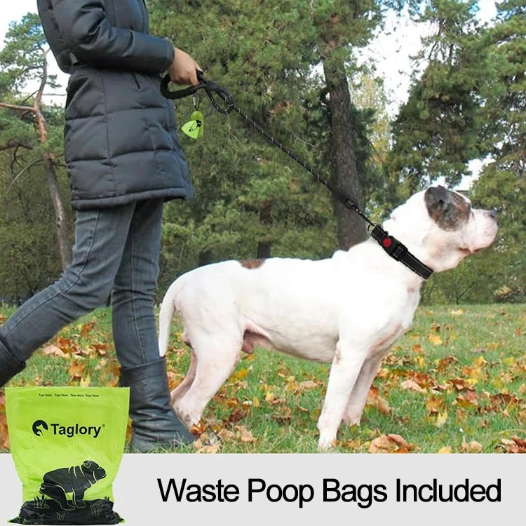 🐕🔗 Double Strap Retractable Dog Leash – Reflective Heavy Duty Lead