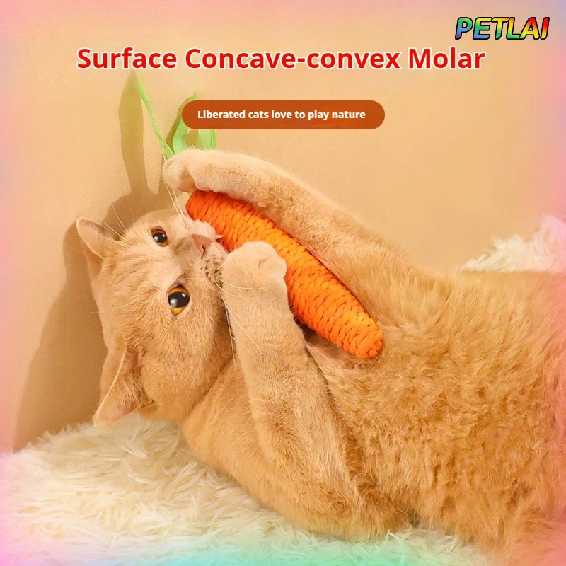🥕🐱 Cat Carrot Chew Toy – Hemp Rope Teeth Grinding Interactive Toy