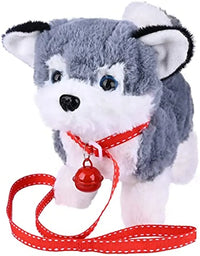 Alaska Dog