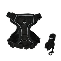 Black / XL