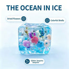 Ocean Shell Squishy Stress Ball – Transparent Star Maltose Fidget Toy