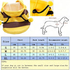 Bee Pet Hoodie – Cute Halloween Costume for Dogs & Cats