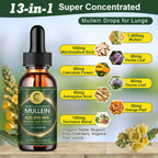 🌿 Mullein Leaf Extract Drops 2 Fl Oz | Lung & Respiratory Support 💨 | Immune & Detox Wellness 💪🌱 | Pure Herbal Liquid Supplement