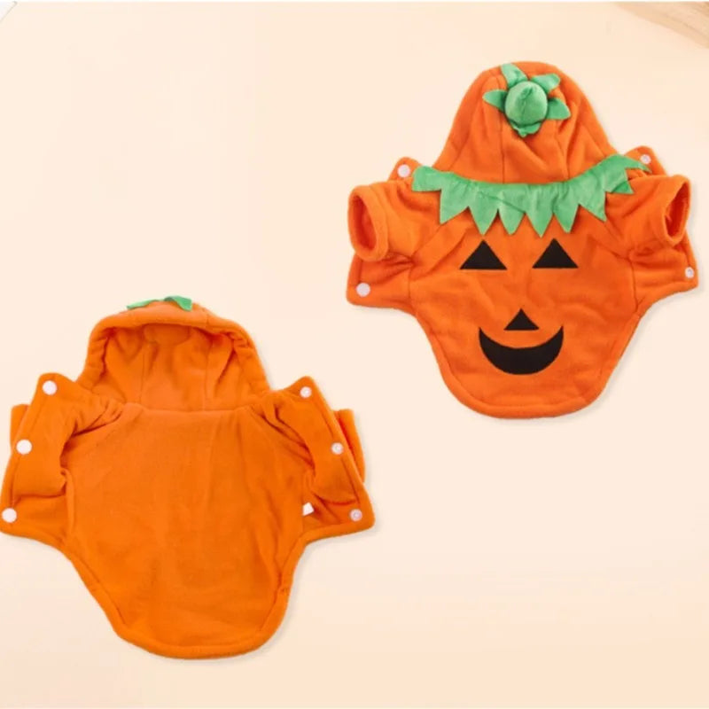Halloween Pumpkin Pet Costume – Cute Outfit for Dogs & Cats