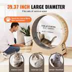 🐱🏃‍♀️ SucceBuy Wooden Cat Exercise Wheel – Large Indoor Treadmill 🔎 SEO Title