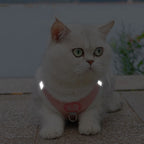 ❄️🐾 Rabbit Fur Winter Cat & Dog Harness with Leash – Reflective Adjustable Set