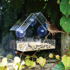 🐦🏡 Clear Acrylic Window Bird Feeder with Suction Cups